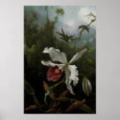 Poster Colibris et orchidée blanche par Martin J. Heade (Devant)