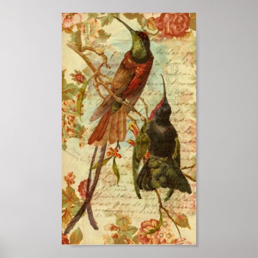 Poster Colibris et Roses (Devant)