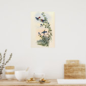 Poster Colibris par John Gould (Cuisine)