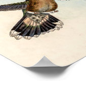 Poster Colibris vintage par John Gould (Coin)