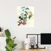 Poster Colibris vintage par John Gould (Bureau à domicile)