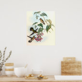 Poster Colibris vintage par John Gould (Cuisine)