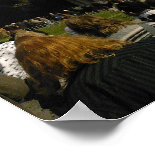 Poster coliseum (Coin)