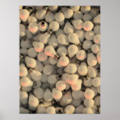 Poster Collage abstrait d'ampoules blanc gris noir (Devant)
