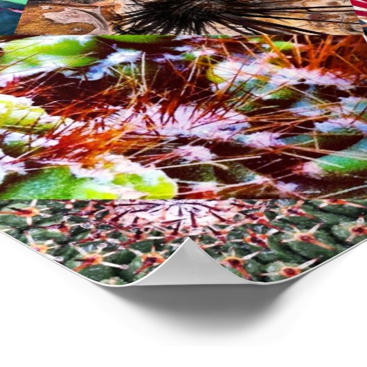 Poster Collage Cactus (Coin)