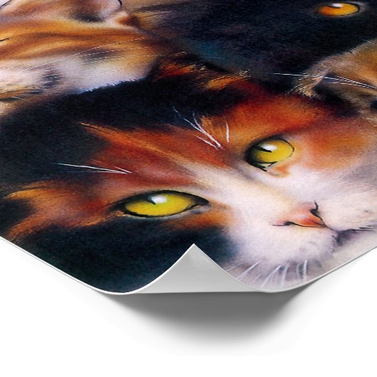 Poster Collage de chats (Coin)