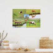 Poster Collage de Chincoteague Ponies (Cuisine)