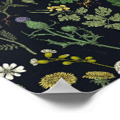 Poster Collage de fleurs sauvages (Coin)