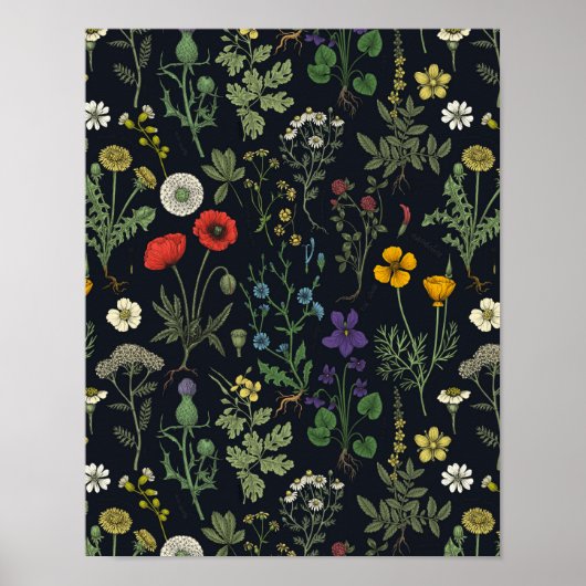 Poster Collage de fleurs sauvages (Devant)