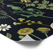 Poster Collage de fleurs sauvages (Coin)