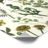 Poster Collage de fleurs sauvages (Coin)