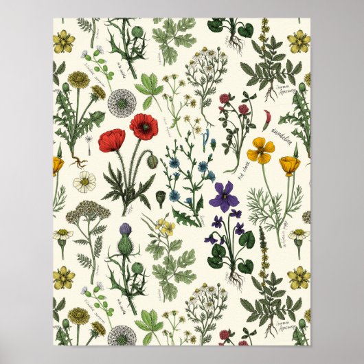 Poster Collage de fleurs sauvages (Devant)