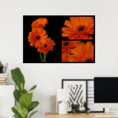 Poster Collage de gerbera (Bureau à domicile)