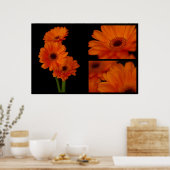 Poster Collage de gerbera (Cuisine)