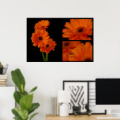 Poster Collage de gerbera (Bureau à domicile)