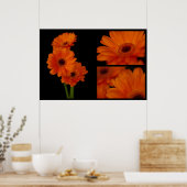 Poster Collage de gerbera (Cuisine)