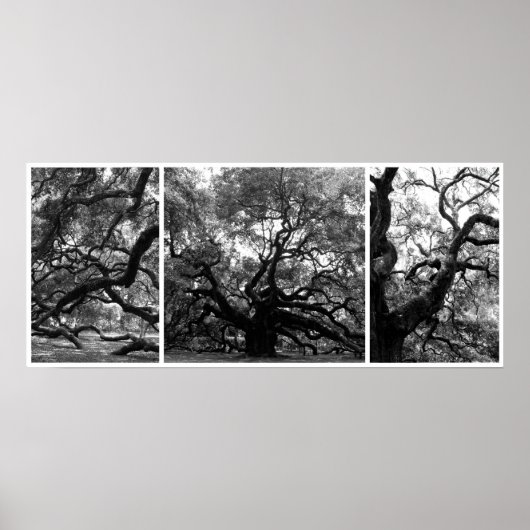 Poster Collage de l'arbre Angel (Devant)