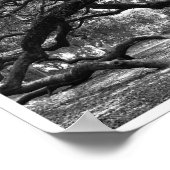 Poster Collage de l'arbre Angel (Coin)