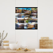 POSTER COLLAGE DE L'OHIO (Cuisine)