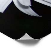 Poster Collage de pâquerettes (Coin)