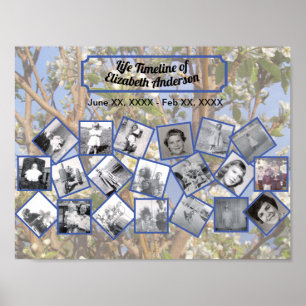Poster Collage de photos chronologiques sur un arbre en f