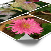 Poster Collage de photos florales (Coin)