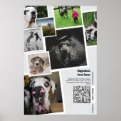 Poster Collage de photos personnalisé de Dogue Allemand (Devant)
