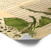 Poster Collage de poupées de nid d'oiseaux (Coin)