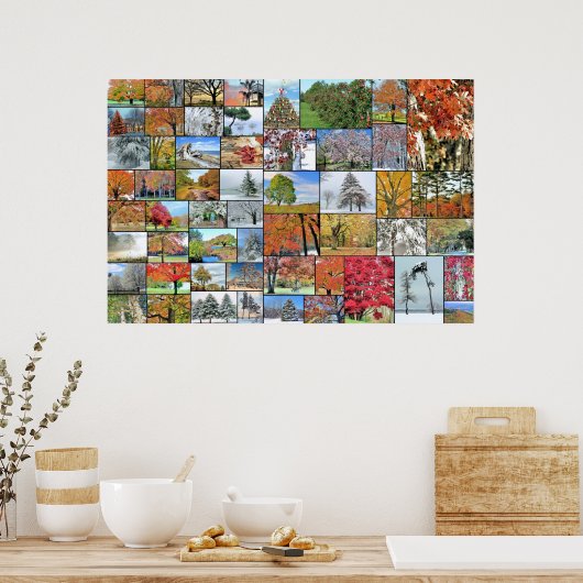 Poster collage des arbres 36 x 24 (Cuisine)