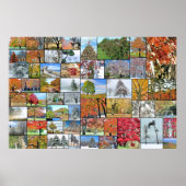 Poster collage des arbres 36 x 24 (Devant)