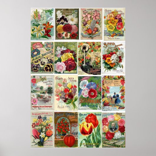 Poster Collage des catalogues de semences de fleurs vinta (Devant)