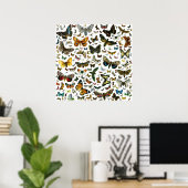 Poster Collage des papillons de nuit et des papillons de (Bureau à domicile)