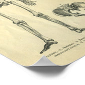 Poster Collage d'illustrations anatomiques du corps (Coin)