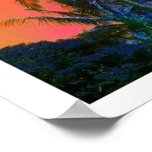 Poster Collage Hawaii Palm Tree (Coin)