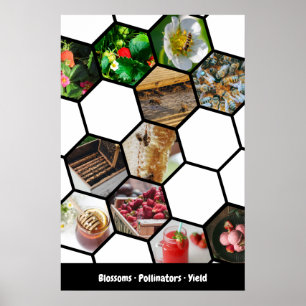 Poster Collage Histoire Fraises, Pollinisateurs & Rendeme