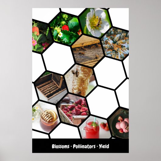 Poster Collage Histoire Fraises, Pollinisateurs & Rendeme (Devant)