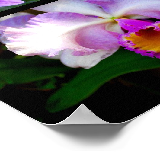 Poster Collage orchidée (Coin)