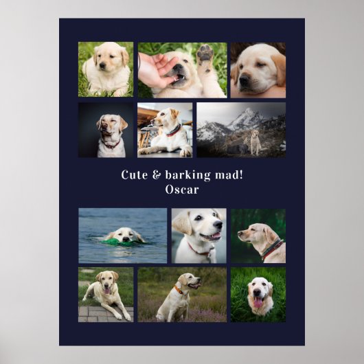 Poster Collage personnalisé avec photo de 12 chiens moder (Devant)