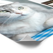 Poster Collage Personnalisé Pet En Mémoire D'Amour (Coin)