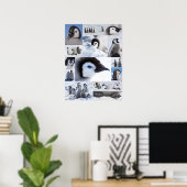 Poster Collage photo de l'empereur Penguin de l'Antarctiq (Bureau à domicile)