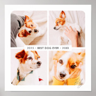 Poster Collage photo moderne du meilleur chien en souveni