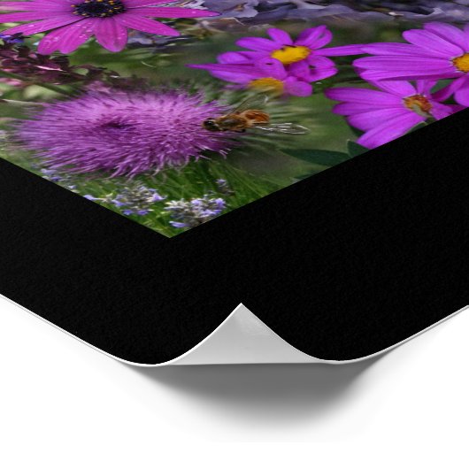 Poster Collage photo Rainbow Flower (Coin)