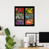 Poster Collage photo Rainbow Flower (Bureau à domicile)
