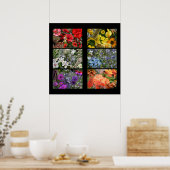 Poster Collage photo Rainbow Flower (Cuisine)