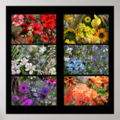Poster Collage photo Rainbow Flower (Devant)