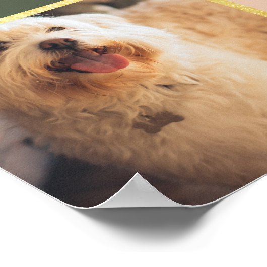 Poster Collage photo sur mesure Pastel & Gold Christmas 5 (Coin)