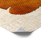 Poster Collage Plante de banane de lin de cuivre (Coin)