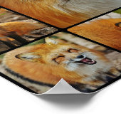 Poster Collage Renard (Coin)