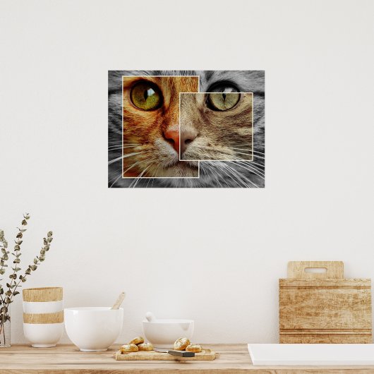 Poster Collage Visage Chat Cute (Cuisine)