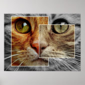 Poster Collage Visage Chat Cute (Devant)